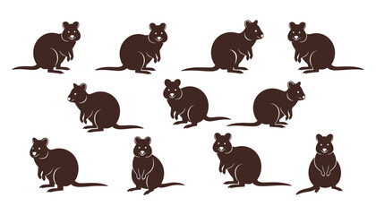 A set of cute quokka silhouette vector illustration