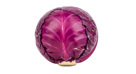 Closeup of a vibrant red cabbage, showcasing its intricate leaf patterns and rich color, isolated on transparent background for clear presentation