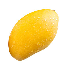 One ripe yellow mango fruit with water droplets isolated on white background with clipping path