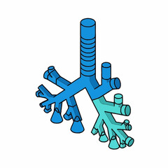 Detailed illustration of the human respiratory system anatomy in blue color.