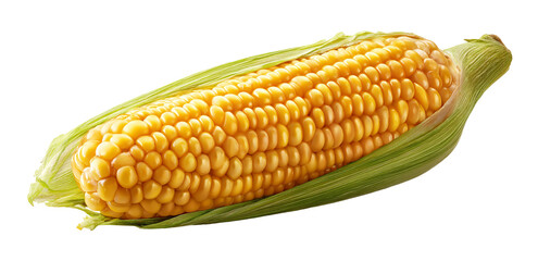 Fresh yellow corn cob with green leaves isolated on transparent background