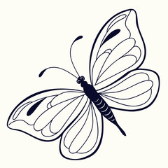 Outline Of A Butterfly With Open Wings insect lepidoptera © Abu