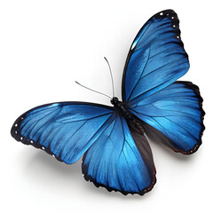 Stunning blue butterfly flutters with vibrant wings, bringing a touch of nature's beauty and delicate grace to design projects and creative endeavors isolated on transparent background