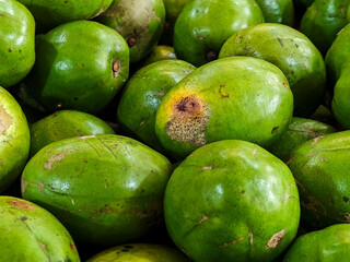 Close-up captures a vibrant cluster of green fruits, their skins showcasing a myriad of textures and subtle blemishes that hint at their natural growth, freshness, and nutritional richness.