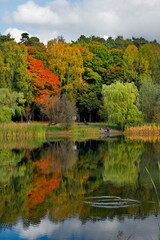 Russia. Moscow Pokrovskoe-Streshnevo Park. Autumn view of the lake shore with yellow-red willows and maples in the city park.