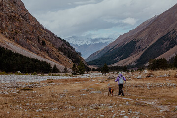 Kabardino-Balkaria, Russia-10.15.2025: Man walks his brown dog in a valley surrounded by mountains. The landscape features rocky terrain and sparse vegetation under a cloudy sky.