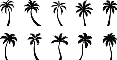 Fototapeta premium Palm tree silhouette vector collection, tropical beach tree icons for summer landscape design, exotic island nature elements, cad drawing flat vector illustration