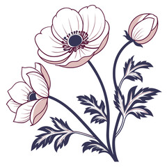 Anemone Flowers with Leaves in Outline and Color drawing illustration