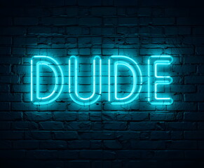 A bright blue neon sign with the word &ldquo;DUDE&rdquo; glowing against a dark brick wall.