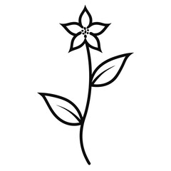 black and white flowers