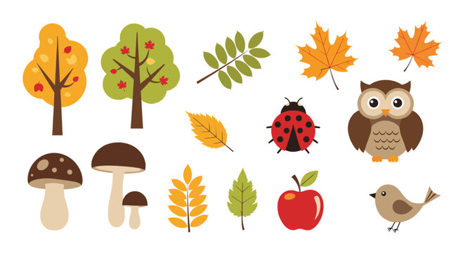Cute collection of autumn forest elements including trees leaves an owl mushrooms and a ladybug isolated on a white background.