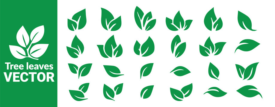 Collection of various green leaves, simple foliage icons for natural and organic designs