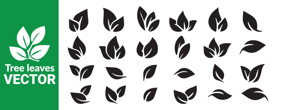 Black tree leaves vector set silhouette design elements representing growth and nature