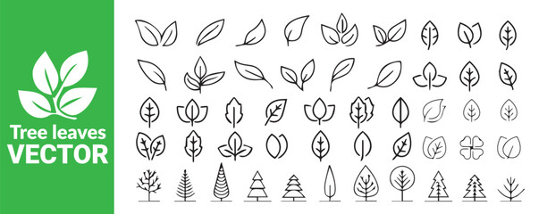 Tree leaves and trees vector set outline style natural and botanical design elements