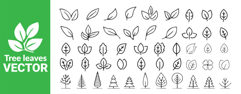 Tree leaves and trees vector set outline style natural and botanical design elements