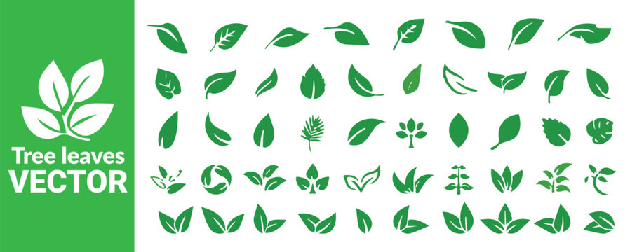 Collection of various tree leaves vector in green color for nature related designs