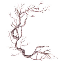 A semicircular composition with winding driftwood. Isolated watercolor illustration for eco-projects, travel agencies, interior design, posters, and postcards.