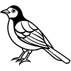 Obraz premium vector illustration of a bird