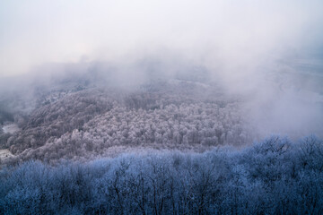 Germany, Misty aerial  panorama view above white snow covered nature landscape forest winter wonderland endless tree covered mountains