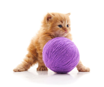 Cute ginger kitten playing with a purple yarn ball on white background.