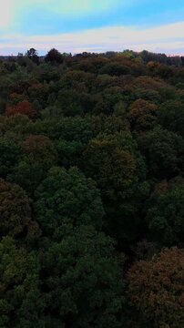 Promenade d'automne en for&ecirc;t color&eacute;