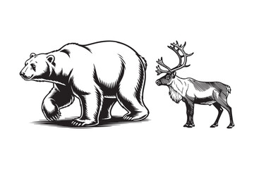 Detailed sketch of a bear and a reindeer in black and white