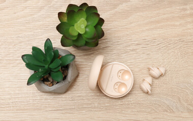 Modern Wireless Bluetooth Vacuum Earbuds with Charging Case on table