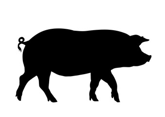Domestic pig silhouette - vector illustration