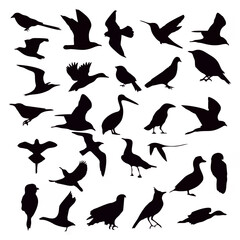 Bird Silhouettes Collection9.eps