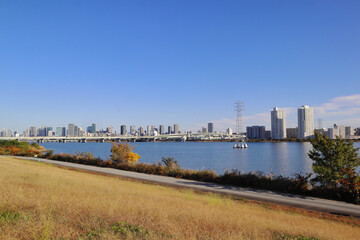 Fototapeta premium 秋の淀川風景（大阪）