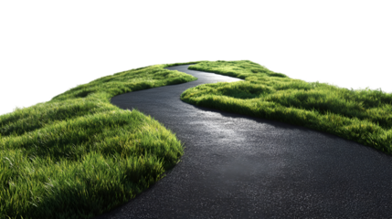 Winding path through lush green grass with dark background