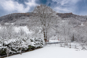 Winter mountain landscape in the Carpathians
