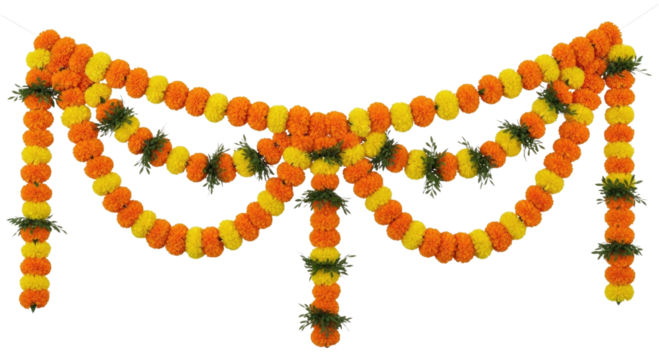 Indian marigold flower garland decoration transparent background cutout png