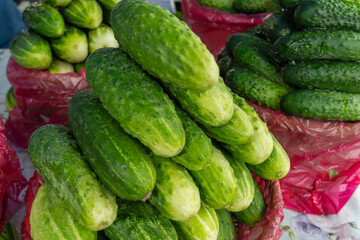 Fresh cucumbers stacked in a market display. Farm fresh cucumbers in a vibrant pile representing natural produce clean eating and seasonal vegetables.