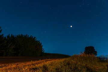 Blood moon over silhouetted trees. Rare celestial event crimson moon casting an ominous glow on the...