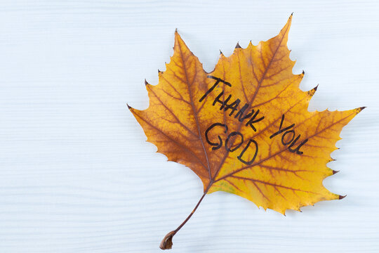 Thank You God, handwritten text quote on autumn leaf placed on white wooden background. Top view. Copy space. Christian gratitude and thanksgiving to Jesus Christ, biblical concept.