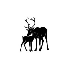  A baby reindeer standing next to a mother reindeer