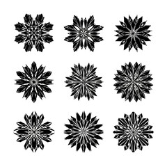 Collection of Unique Snowflake Decorations with Floral Ornament Designs and Winter Crystal Patterns for Festive Season Elements with Elegant Line Art and Backgrounds