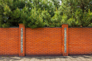 A red brick fence and a thorny coniferous tree. The brick wall marks the boundary of the private property and the street