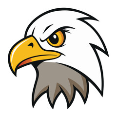 A high-resolution overhead view of a diverse group of creative professionals collaborating on a colorful project while working together in a bright modern office workspaceA vibrant close-up of a diver