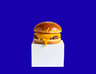 Artisan Brioche Burger with Cheddar Cream in Minimal Studio Layout