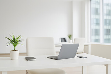 Modern business office interior with a desk, laptop, chair, and empty work screen