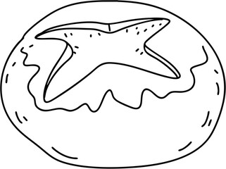 Fototapeta premium A starfish is drawn on a doughnut