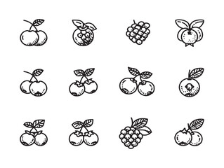 Ultra Minimalist Blueberry Line Art Icons Set For Modern Design