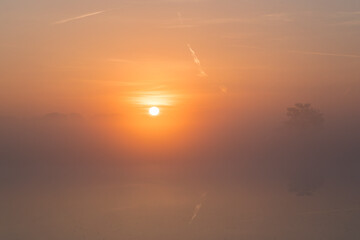 A sunrise over a lake with reed in the front on the side in the Netherlands. The sky is orange and the sun is rising in the middle of the photo.