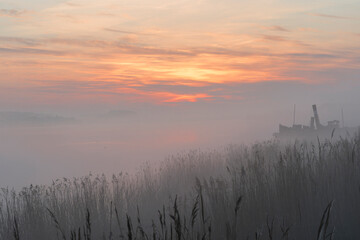 A few trees are standing in a field of dry grass. The sky is foggy in Haaksbergerveen in the Netherlands. In the front the reflection of the tree is visible in the water.