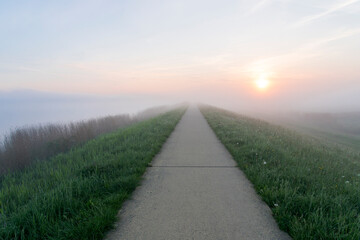 A sunrise over a biking path with on the sides grass, water and pasture in the Netherlands.