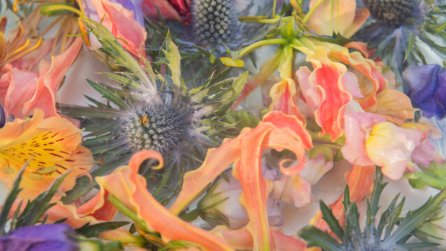 vibrant, close-up floral arrangement featuring a mix of different types of flowers: blue thistles or sea holly, orange flame lilies and yellow snapdragons