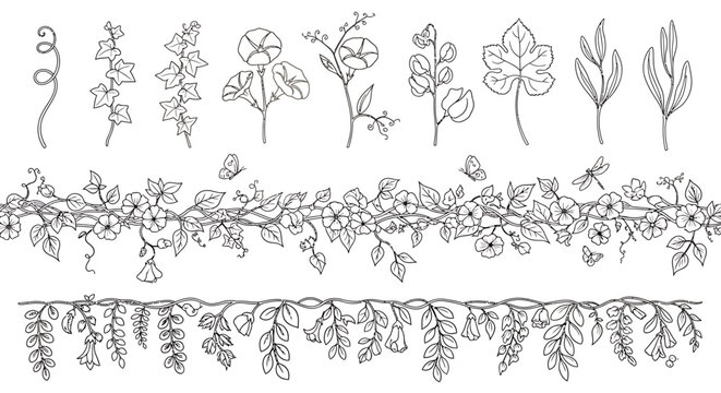 Botanical Line Art - Delicate Floral Illustrations and Borders.