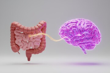 3D illustration of the gut and brain connected by a glowing neural pathway, symbolizing the gut-brain axis, microbiome influence, and mind–body health connection.